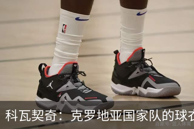 科瓦契奇：克罗地亚国家队的球衣，对我们而言是神圣的